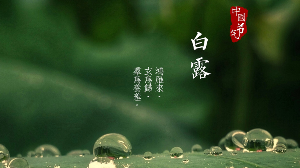 白露养生 润燥防寒